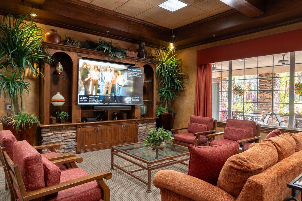 Media room with big-screen TV in The Willows clubhouse